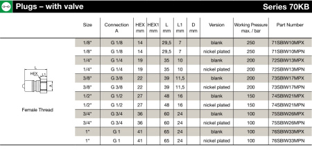 PLG G1 FEMALE BSPP FFKM SS