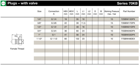 PLG 1/4'' FEMALE NPT FFKM SS